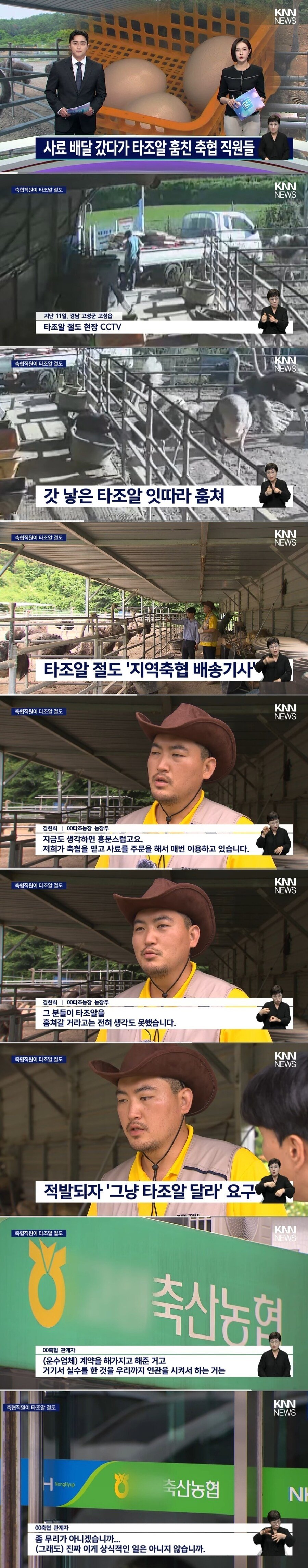 사료 배달 갔다가 타조알 훔친 축협 직원들
